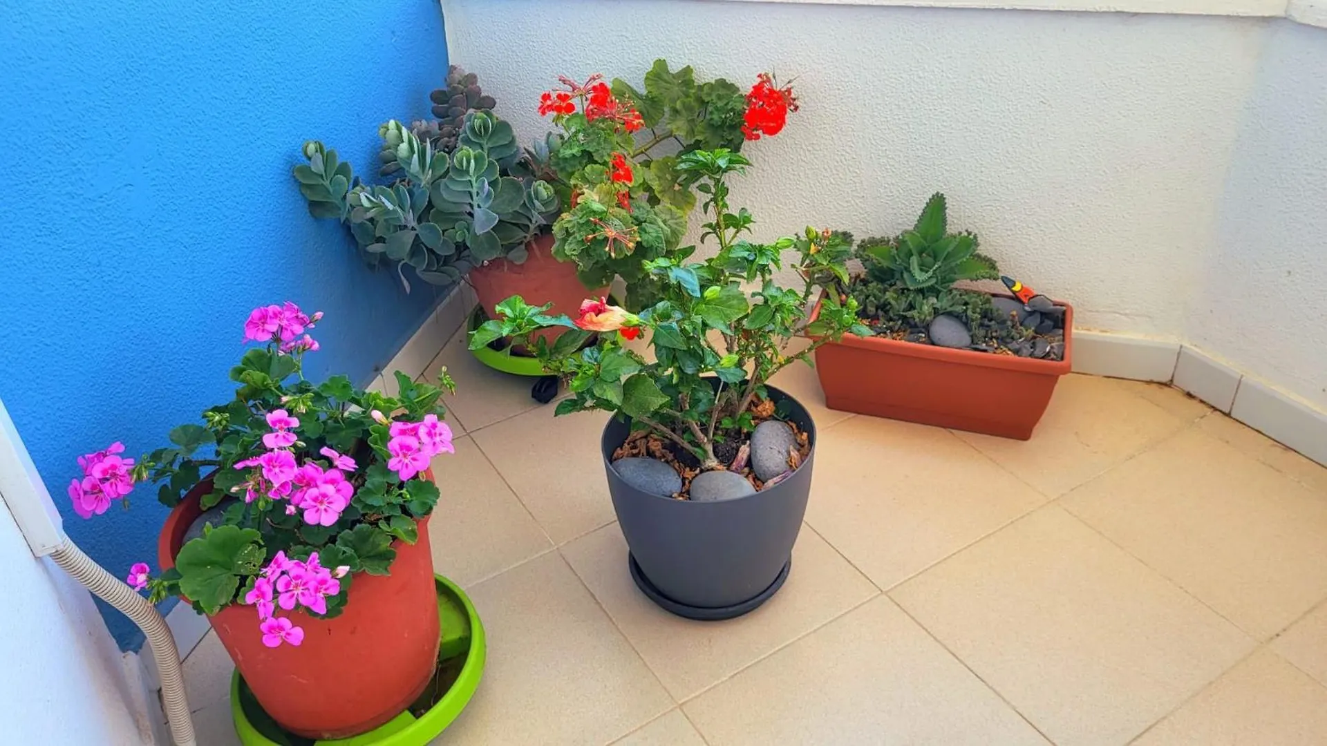 Tenerife Sud Golf Appartament Сан Мигель Апартаменты